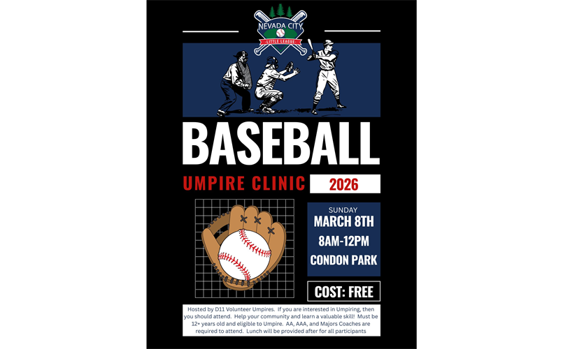 Umpire Clinic March 8th!